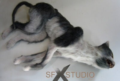 dead cat prop