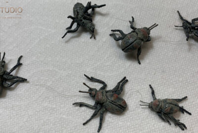 Beetles