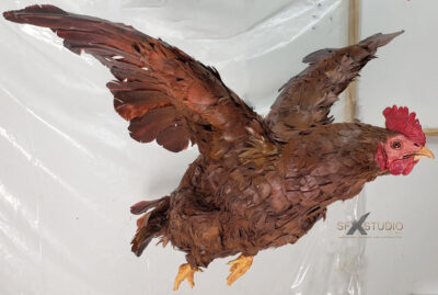 fake flying chicken