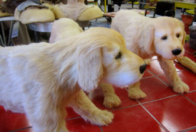 fake golder retriever puppies