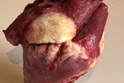 prop heart rental