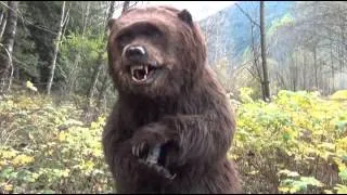 Kody animatronic kodiak bear rental