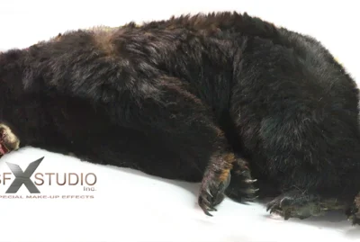 Breathing-black-bear