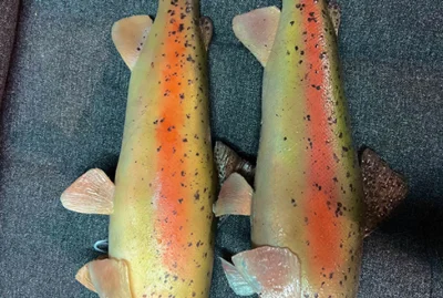 Animatronic puppet trout silicone rental