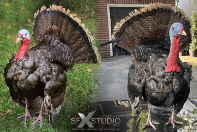 Animatronic turkey puppet rental
