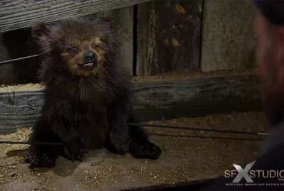 Bear cub puppet rental